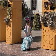 Doy clase de violín, viola y lenguaje musical a todos los niveles